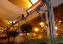 Produkty UFO