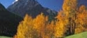 Nature 1