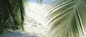 Nature 2