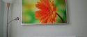 Infrapanel IHS 900-motív Flower 4