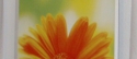 IHS 600-motiv Flower 4