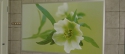 Infrapanel IHS 900-originál motív Flower 1