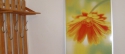 IHS 900-motiv Flower 4