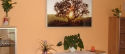 Infrapanel IHS 900,motiv Nature 4